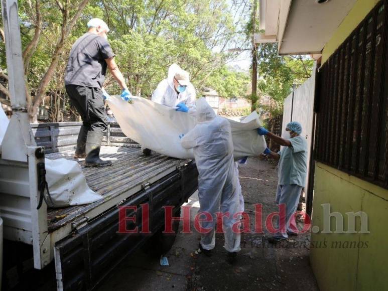Olvidados por familiares: Así fue el entierro masivo de cadáveres sin reclamar en la capital (Fotos)
