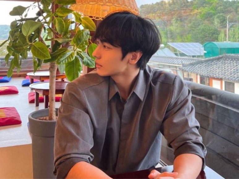 Quién era Lee Li Jan, el actor que murió en estampida en Corea del Sur