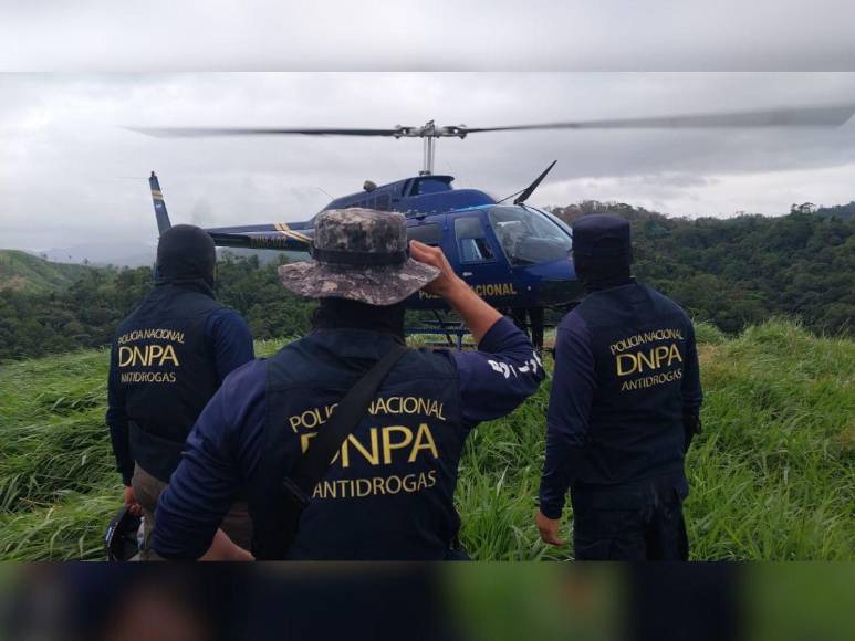 Narcotráfico, tala y siembra ilegal: el recorrido de EL HERALDO en La Mosquitia