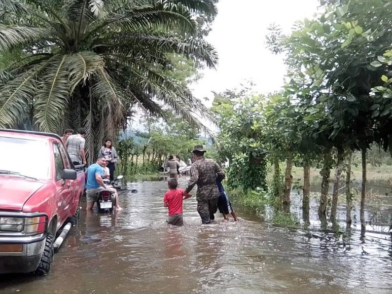 Sacados en brazos, con pocas pertenencias y sus animalitos: el drama que viven familias evacuadas (Fotos)