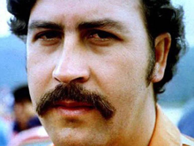 ‘Pablo EscoBear’, el oso que se comió más de 35 kilos de cocaína y murió por sobredosis