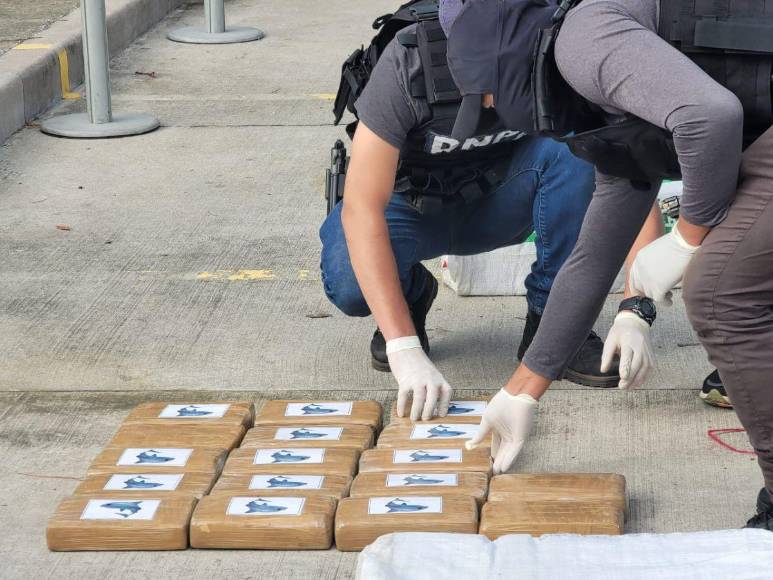 Trasladan a la capital más de 500 kilos de cocaína decomisada a colombianos