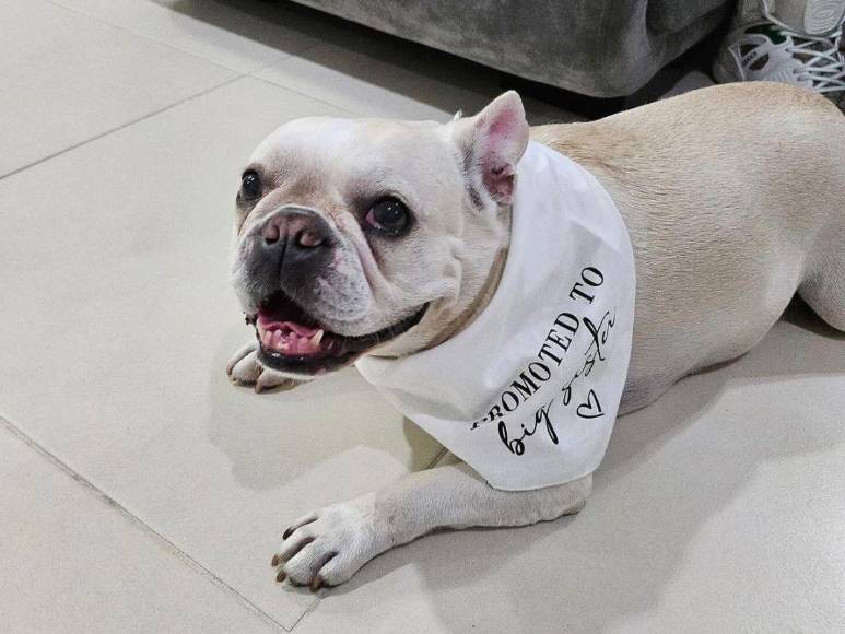 Antonia Botero, de “Los Chicaneros”, pierde a su bebé: “Estamos destruidos”