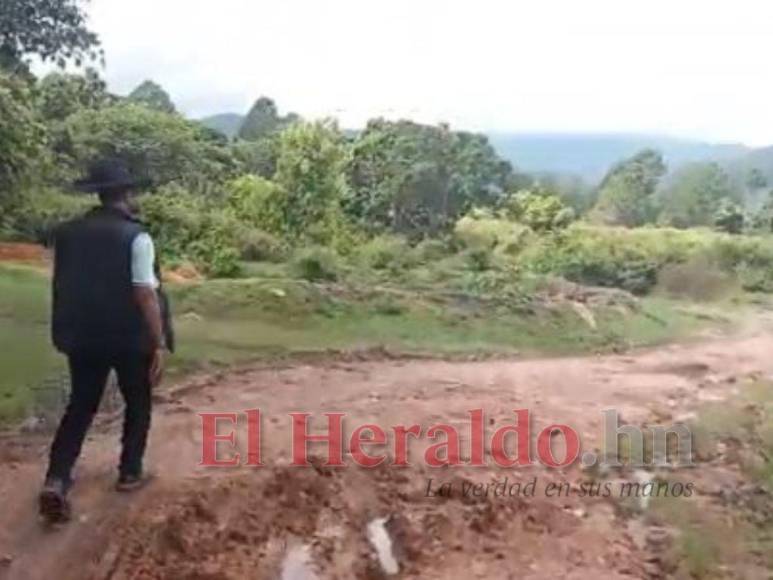 Así fue el mortal ataque de perros que acabó con la vida de un hombre en El Sauce, Valle de Ángeles