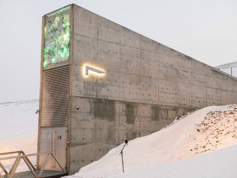 Así es la ‘bóveda del fin del mundo’, donde se guardan las semillas básicas ante cualquier catástrofe