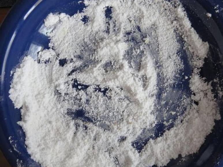 ‘Pablo EscoBear’, el oso que se comió más de 35 kilos de cocaína y murió por sobredosis