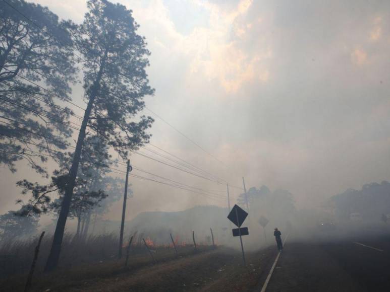 Incendio forestal destruye hectáreas de bosque y provoca una intensa capa de humo en Zambrano