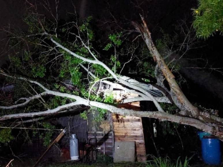 Desbordamientos y derrumbes: daños provocados por recientes lluvias en Honduras