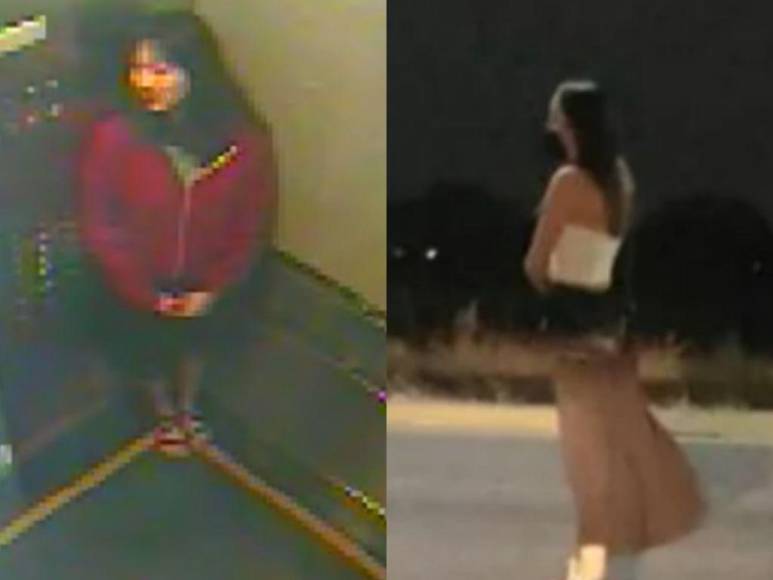 Una cisterna, un hotel y una desaparición: semejanzas entre los casos de Debanhi Escobar y Elisa Lam