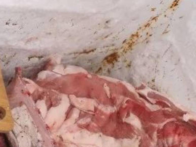 Con moscas y cucarachas: así encontraron productos de una carnicería en Comayagüela