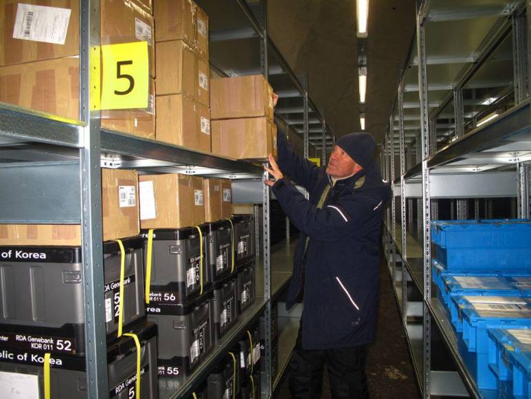 Así es la ‘bóveda del fin del mundo’, donde se guardan las semillas básicas ante cualquier catástrofe