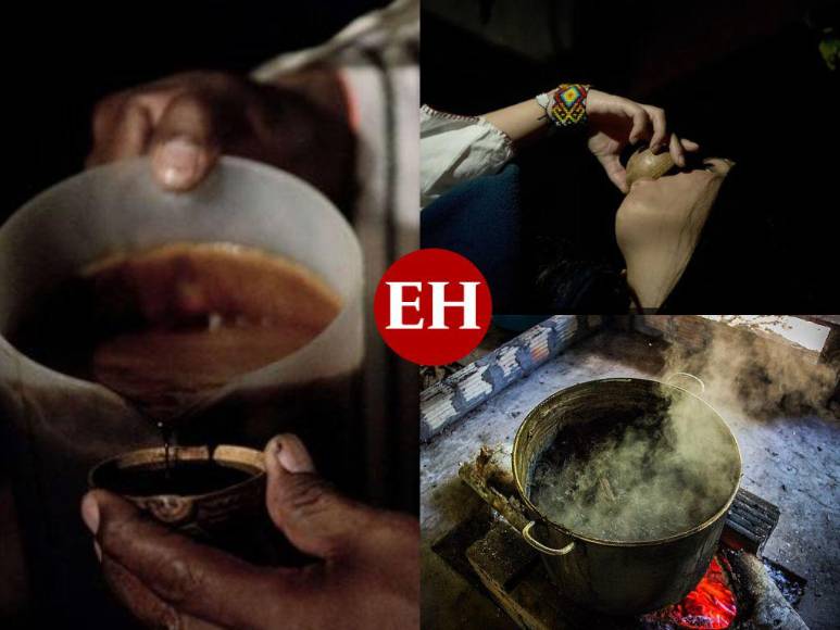 La ayahuasca, un té medicinal y alucinógeno que provoca un viaje “infernal”