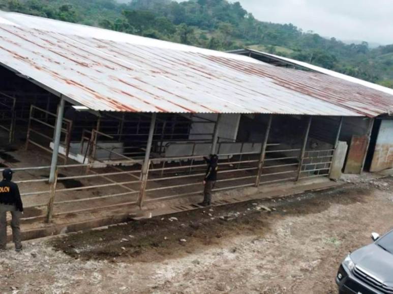 Fincas, carros y mansiones: los lujos del narcotraficante Alexander Ardón