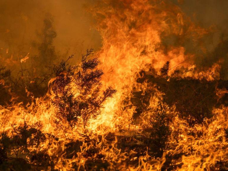 Imágenes del incendio catastrófico que arrasa el norte de California, EUA