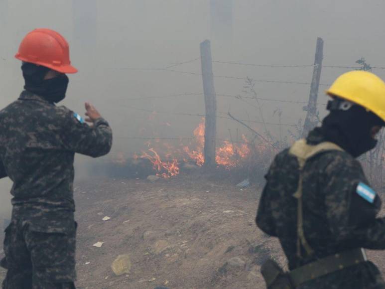 Incendio forestal destruye hectáreas de bosque y provoca una intensa capa de humo en Zambrano