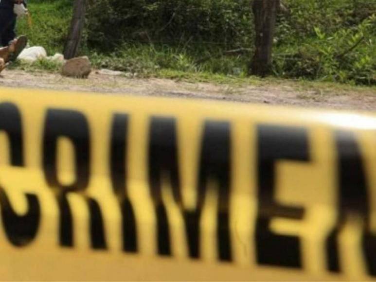 Su sobrino la mató para robarle las joyas y 10 años después su loro le hizo justicia