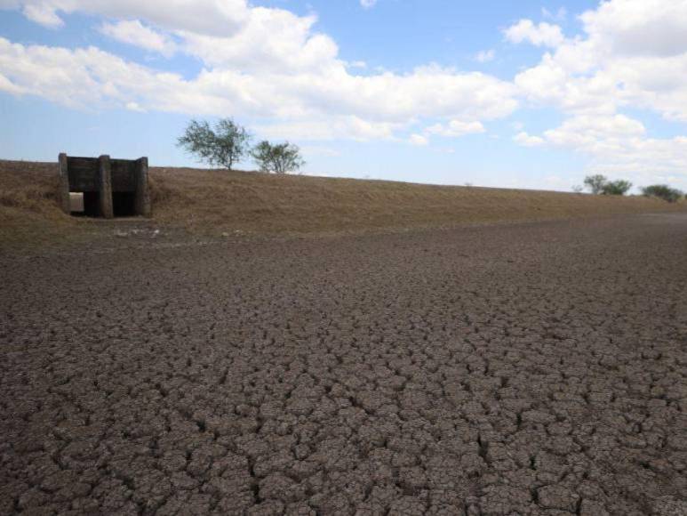 La crisis que sacude a camaroneras hondureñas pese a suspensión de embargo en México
