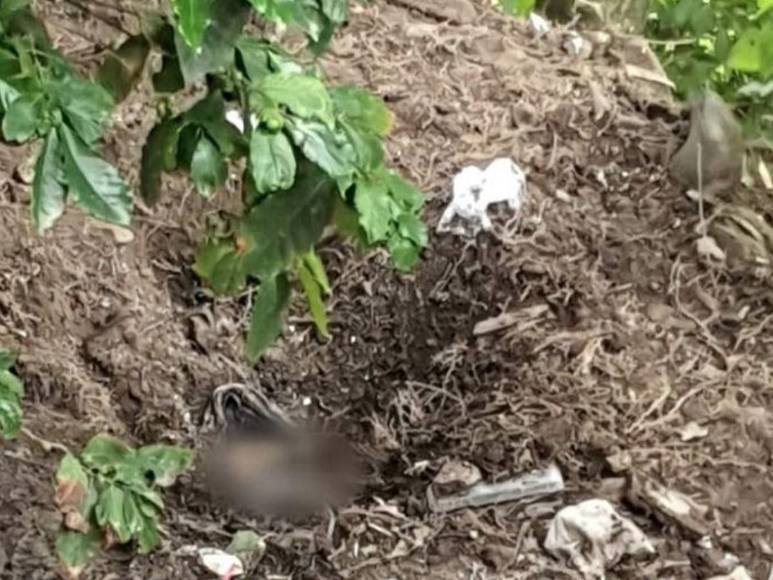 Policías acuden a Villa Nueva por tiroteo y rapto de un joven y hallan cementerio clandestino