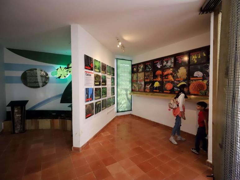 La Tigra, un lugar para compartir en familia en la capital