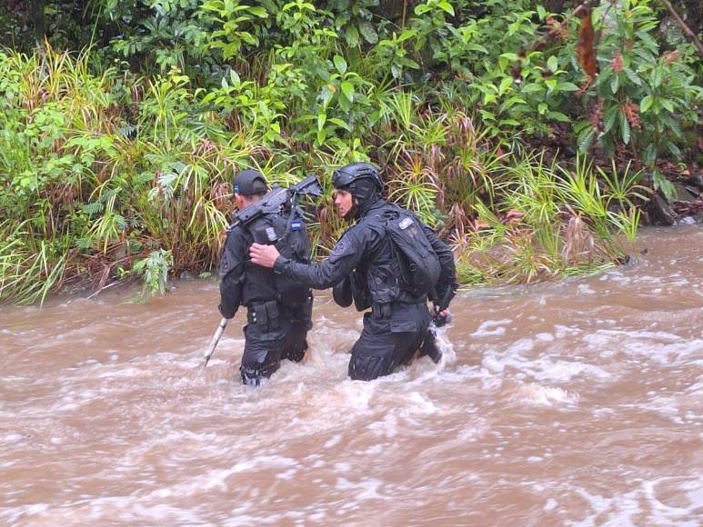 Boscoso y sin señal: la zona donde se hallaron los cuerpos de jóvenes raptados tras mudanza