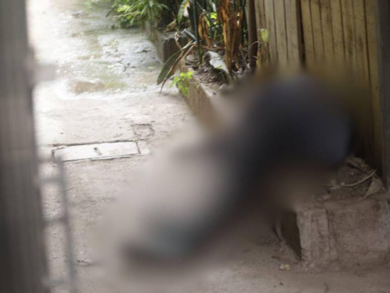 Esto se sabe del asesinato de estudiante del Instituto Jesús Milla Selva