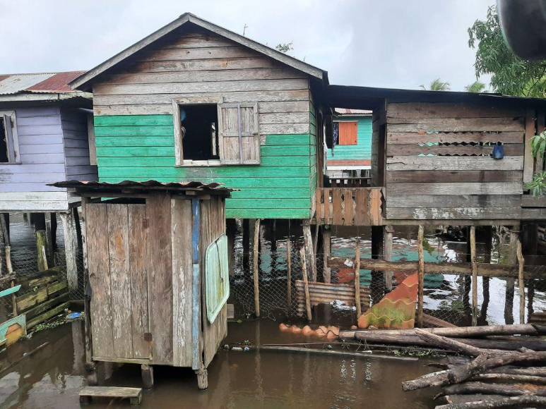 Fotos: Varias comunidades de Gracias a Dios quedaron totalmente inundadas por la tormenta Julia