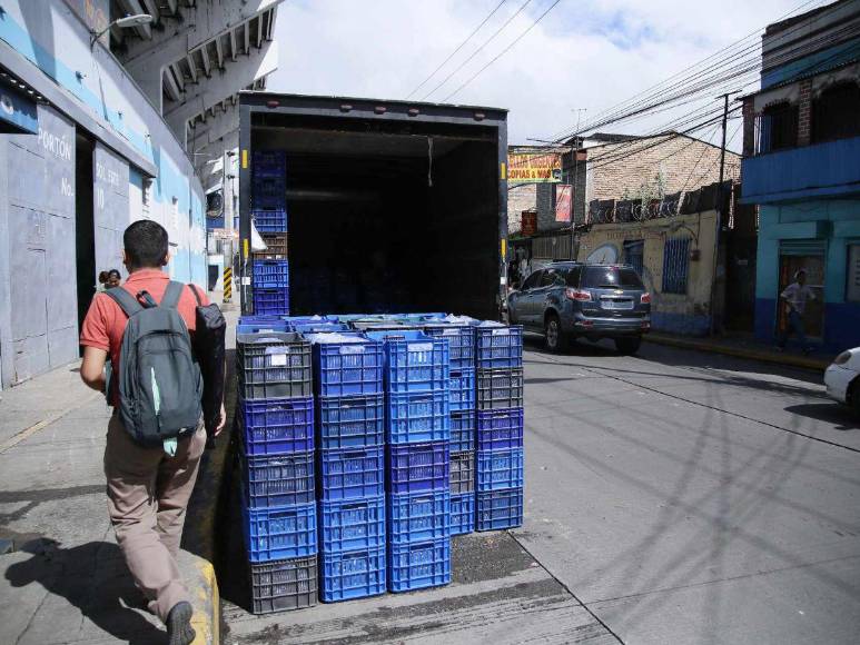 Inician los preparativos del Estadio Nacional para Honduras -México