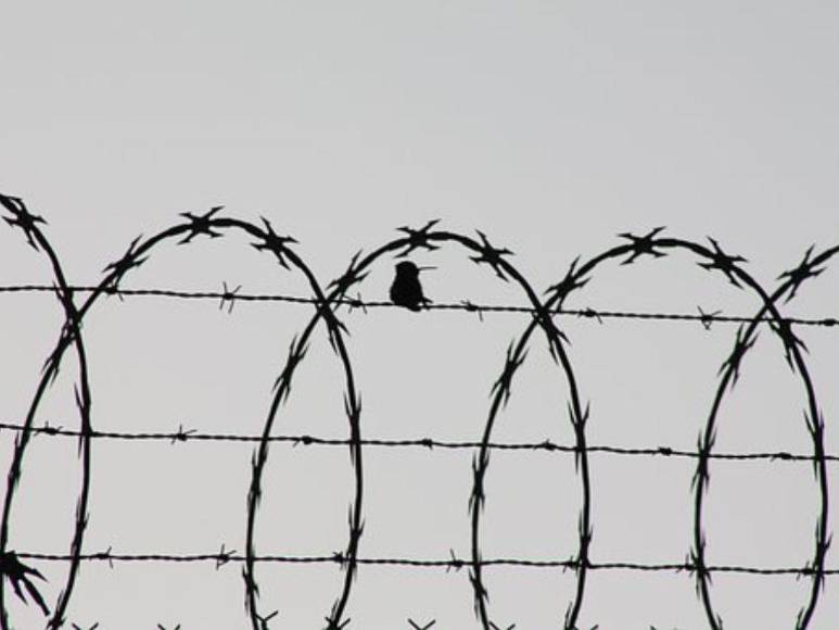 Se enamoró de un preso y la mató a golpes el día que se casaron: la historia de Oksana y su amor por un femicida en Rusia