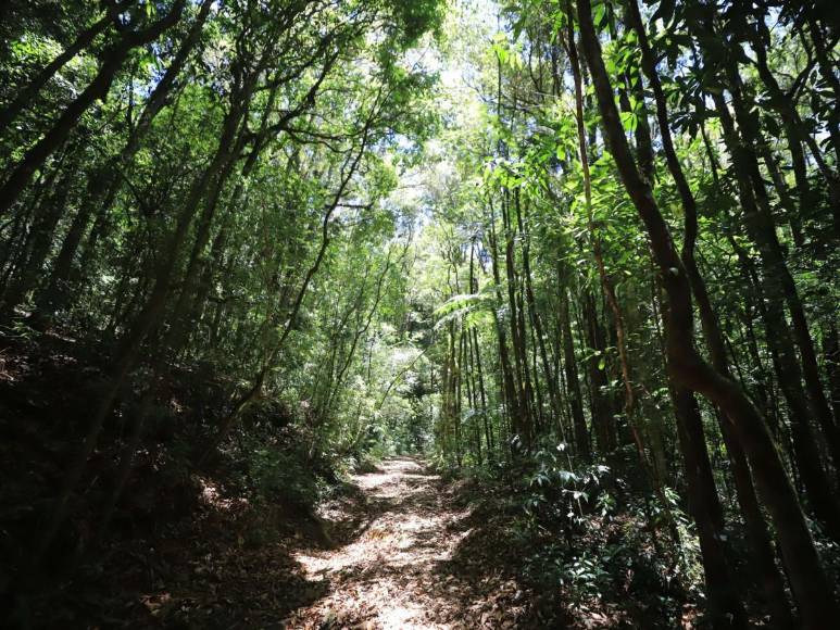 La Tigra, un lugar para compartir en familia en la capital