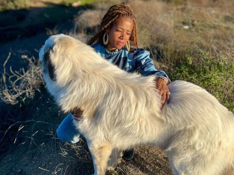 ¿Pareja inusual?: Bill Murray, de 72 años, encuentra el amor en Kelis, 29 años menor