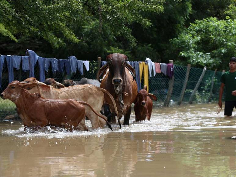 Rodeados de agua permanecen pobladores de Valle, tras paso de Pilar
