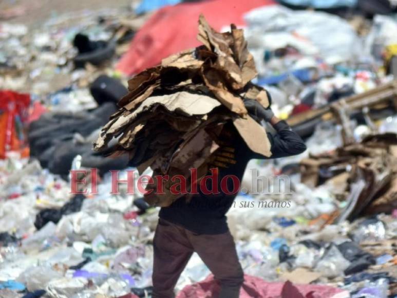 El reflejo del sufrimiento en el rostro de los pepenadores del Crematorio (Fotos)