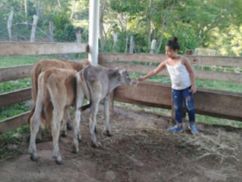 “Era la mascota, pero el diablo actuó”: Padre de Nahomy Argueta narra cómo la halló tras el ataque