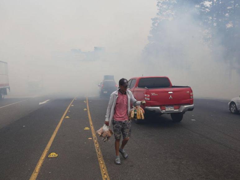 Incendio forestal destruye hectáreas de bosque y provoca una intensa capa de humo en Zambrano