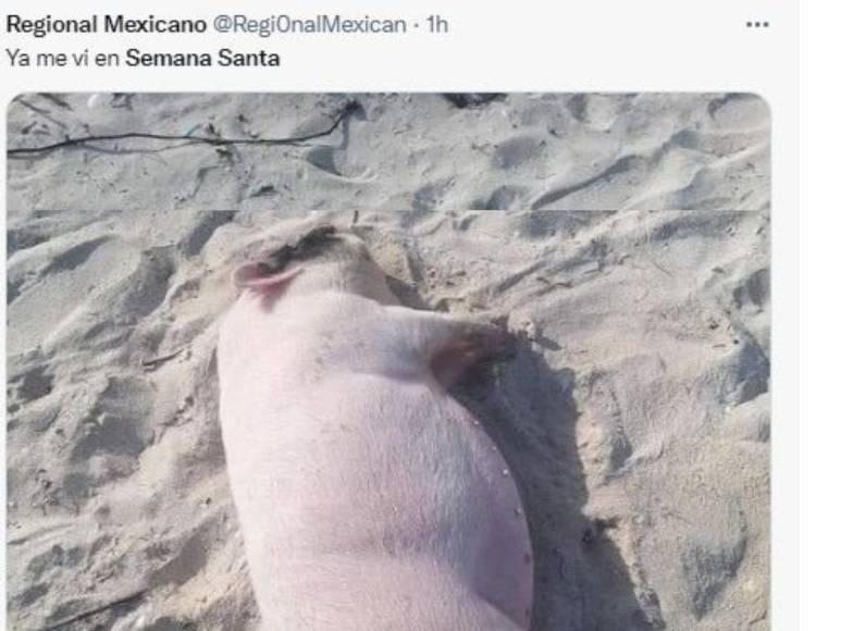 Los memes más divertidos previo a la Semana Santa 2022