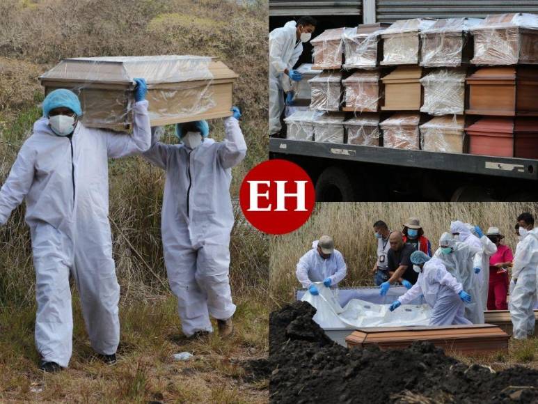 Olvidados por familiares: Así fue el entierro masivo de cadáveres sin reclamar en la capital (Fotos)