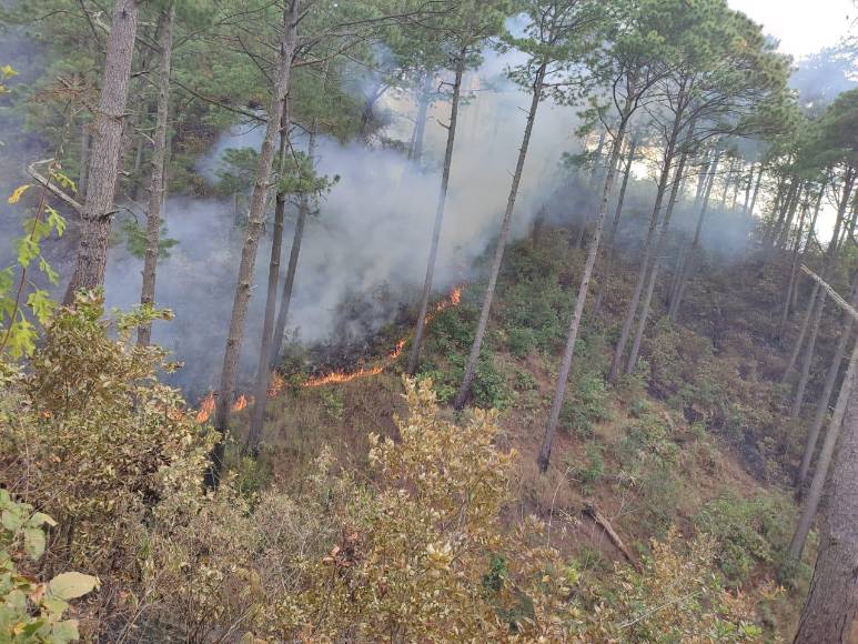 Las imágenes del pavoroso incendio que no ha podido sofocarse en Santa Lucía