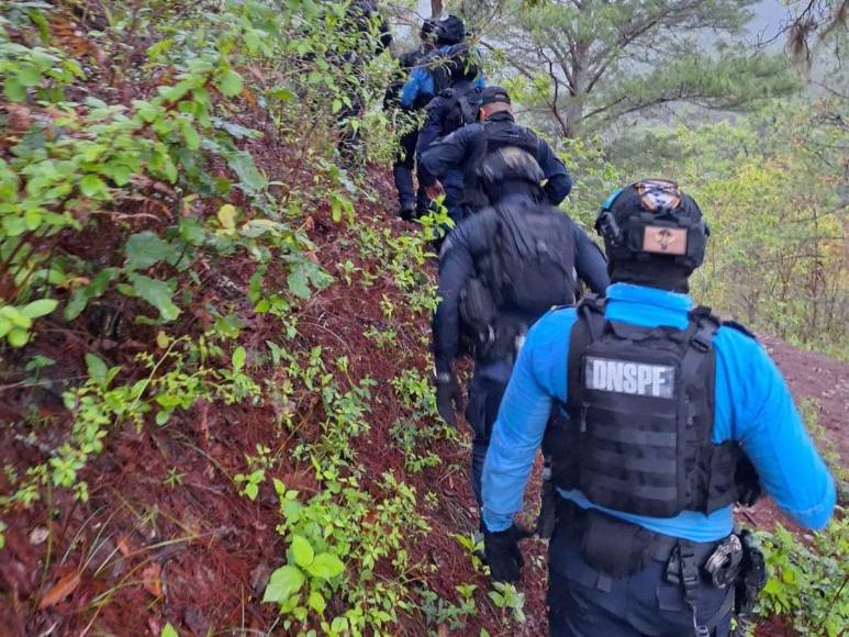 Boscoso y sin señal: la zona donde se hallaron los cuerpos de jóvenes raptados tras mudanza