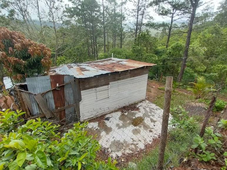 Con permiso de la pandilla y visitas vigiladas: Así controla la 18 en Mirador de Oriente