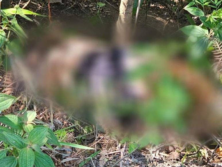 Así era Fernanda Peraza, la joven que fue secuestrada y luego asesinada en Olancho