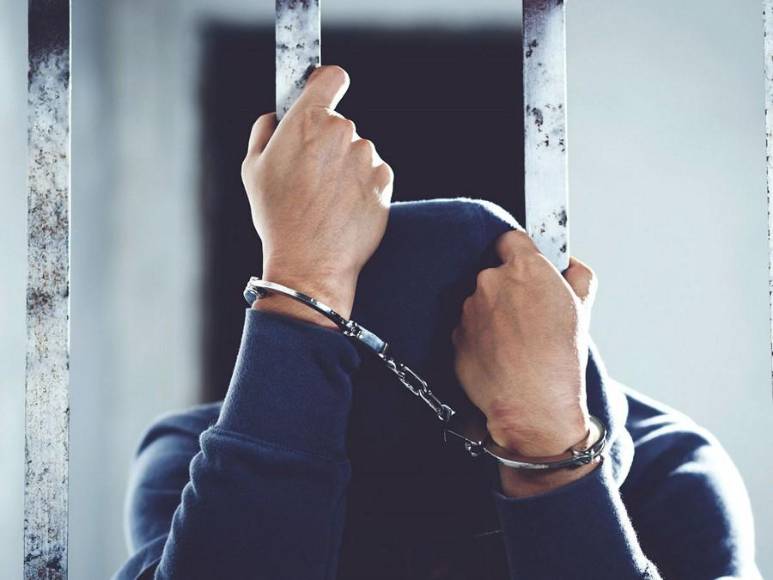 Vicenzzina Trimarchi, el crimen que obligó al expresidente Reina a intervenir y fue resuelto gracias a una rama de ficus