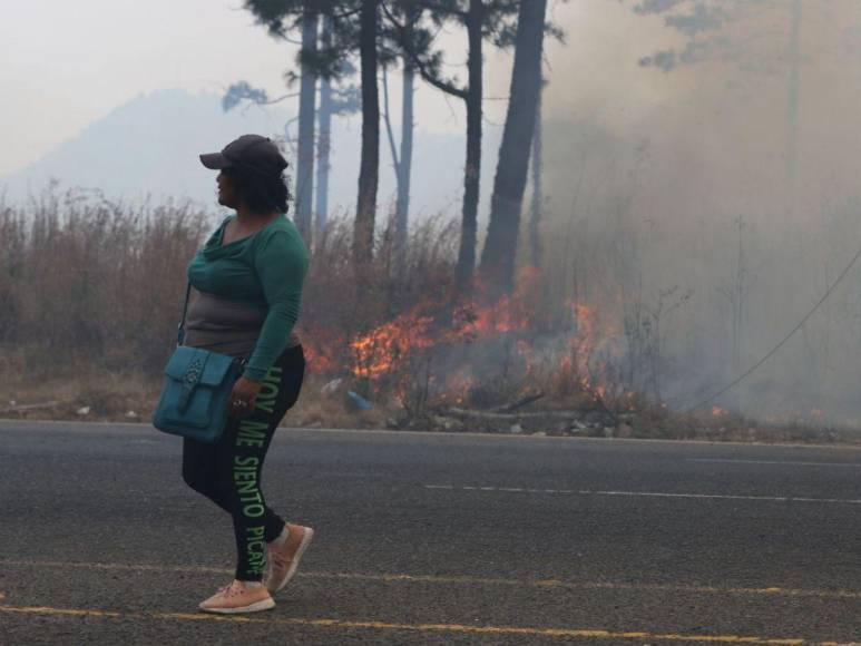 Incendio forestal destruye hectáreas de bosque y provoca una intensa capa de humo en Zambrano
