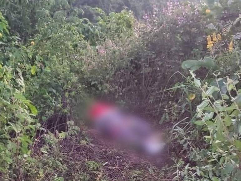 Armando y Adalid, bomberos que murieron arrollados en Santa Bárbara