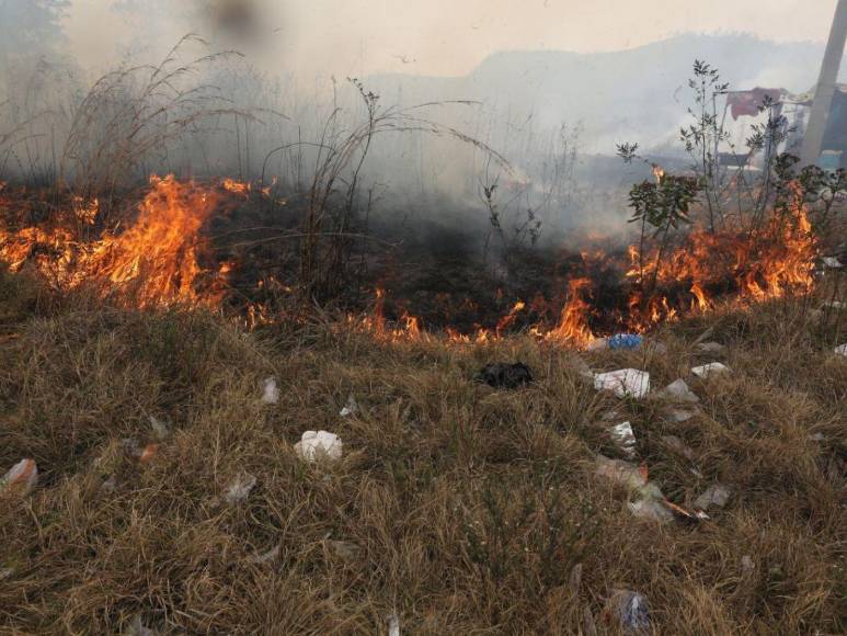 Incendio forestal destruye hectáreas de bosque y provoca una intensa capa de humo en Zambrano