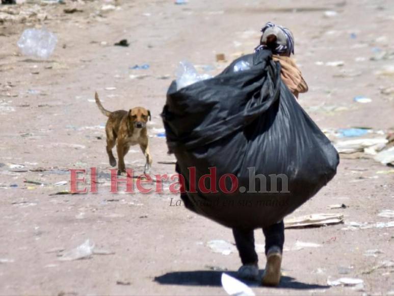 El reflejo del sufrimiento en el rostro de los pepenadores del Crematorio (Fotos)