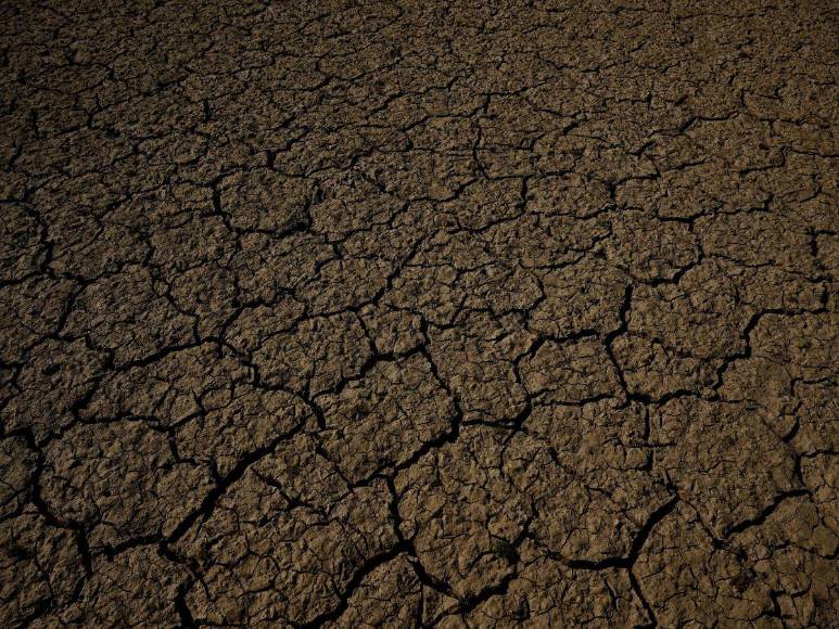 Mundial de Qatar, la invasión rusa y fenómenos climáticos: los grandes acontecimientos de este 2022