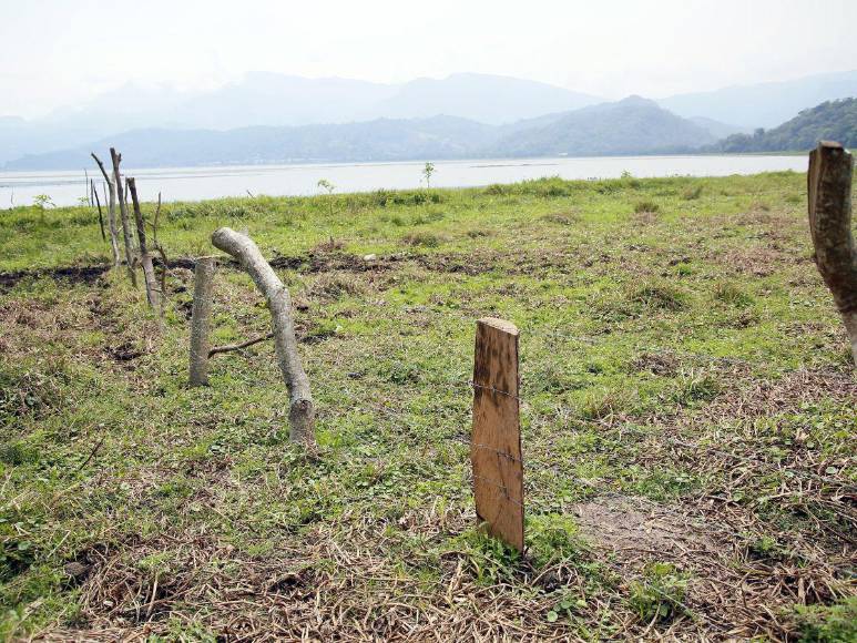 Las imágenes que muestran la deforestación e invasiones que amenazan al Lago de Yojoa