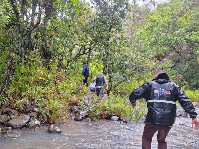 Cubiertos con ramas y semidesnudos: así hallaron a jóvenes desaparecidos en mudanza