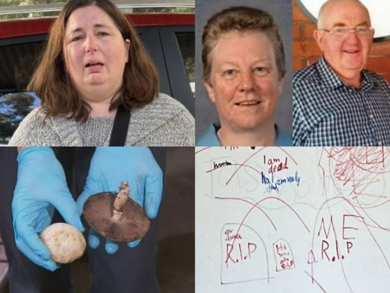 Mujer invitó a comer a sus exsuegros y murieron tras ingerir hongos venenosos; hallaron extraño mural en su casa