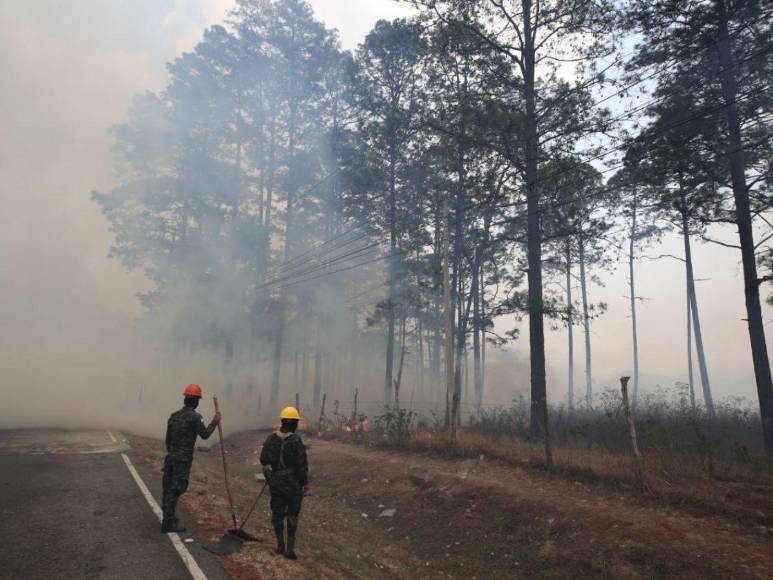 Incendio forestal destruye hectáreas de bosque y provoca una intensa capa de humo en Zambrano